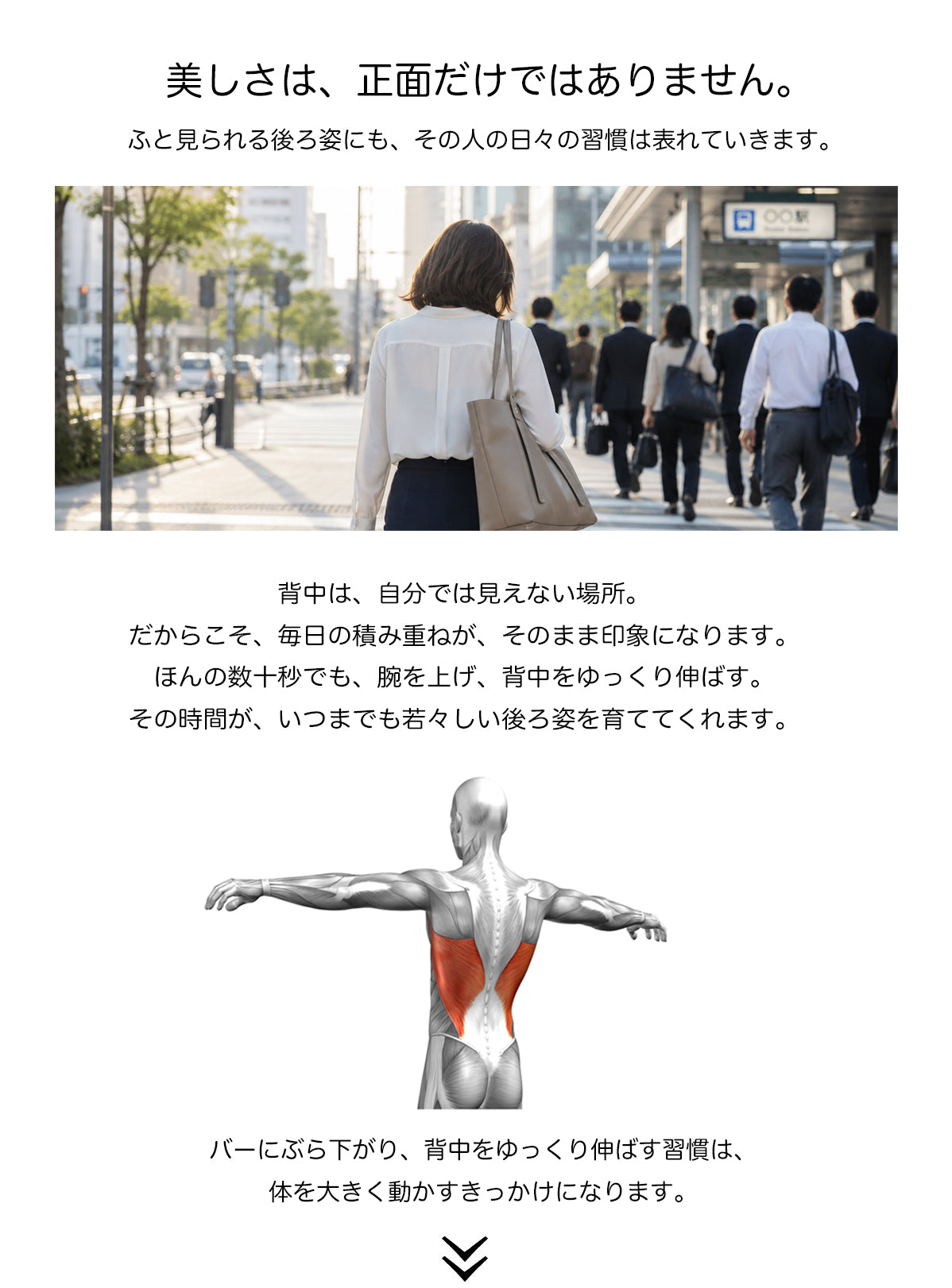 plantobiz-ぶら下がりストレッチバー ドアジム ぶら下がり健康棒