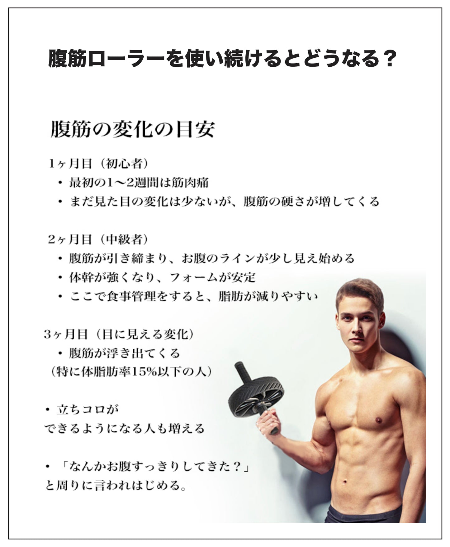 plantobiz 一輪型腹筋ローラー（専用ベンチ不要・床でのトレーニング用）