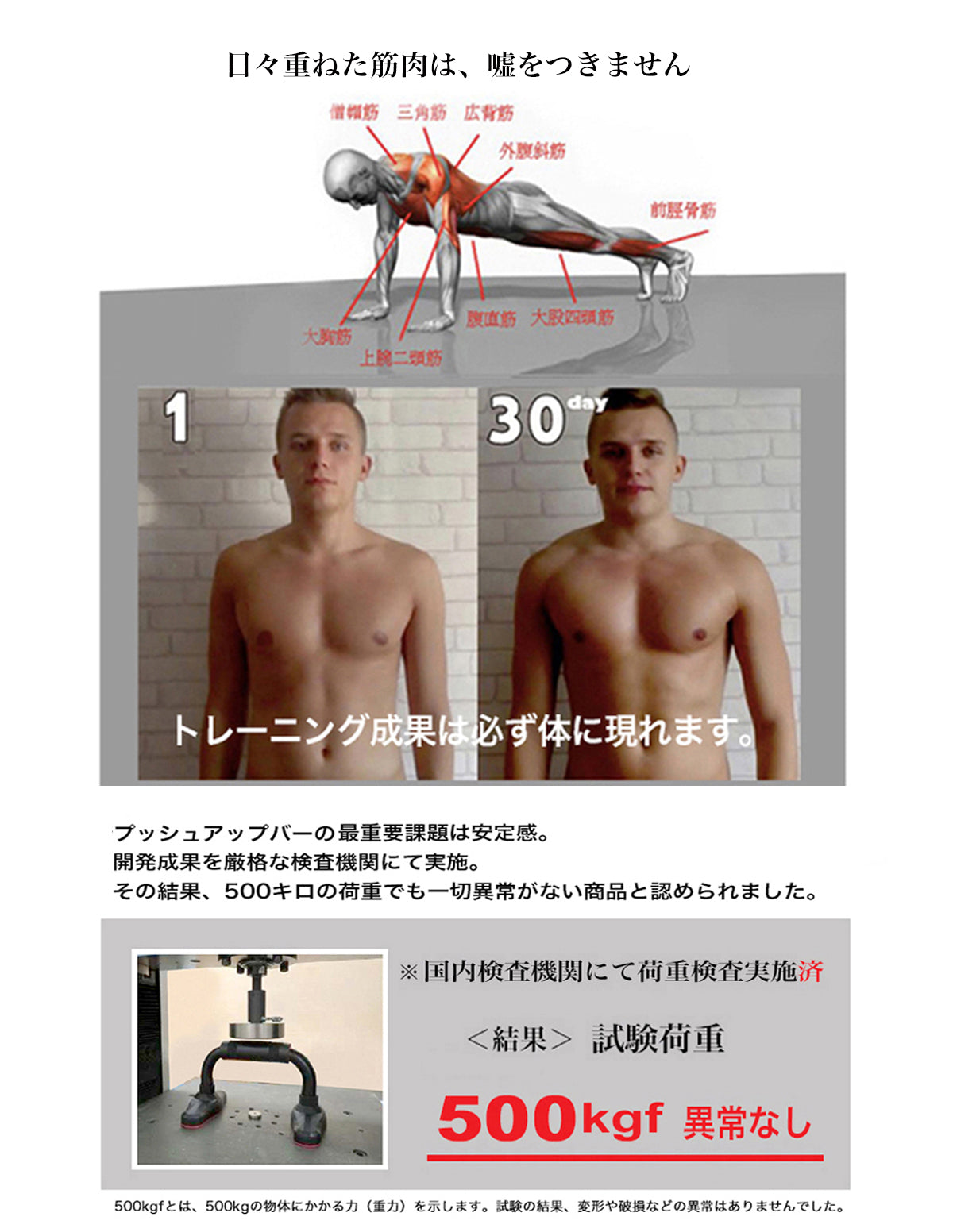 plantobiz-プッシュアップバー 金属  腕立て伏せ