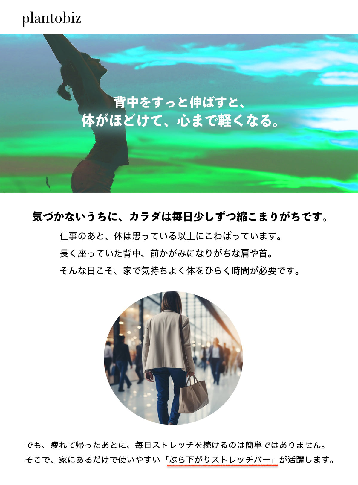 plantobiz-ぶら下がりストレッチバー ドアジム ぶら下がり健康棒