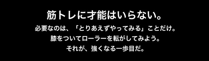 plantobiz-腹筋ローラー 上級向け 一輪タイプ