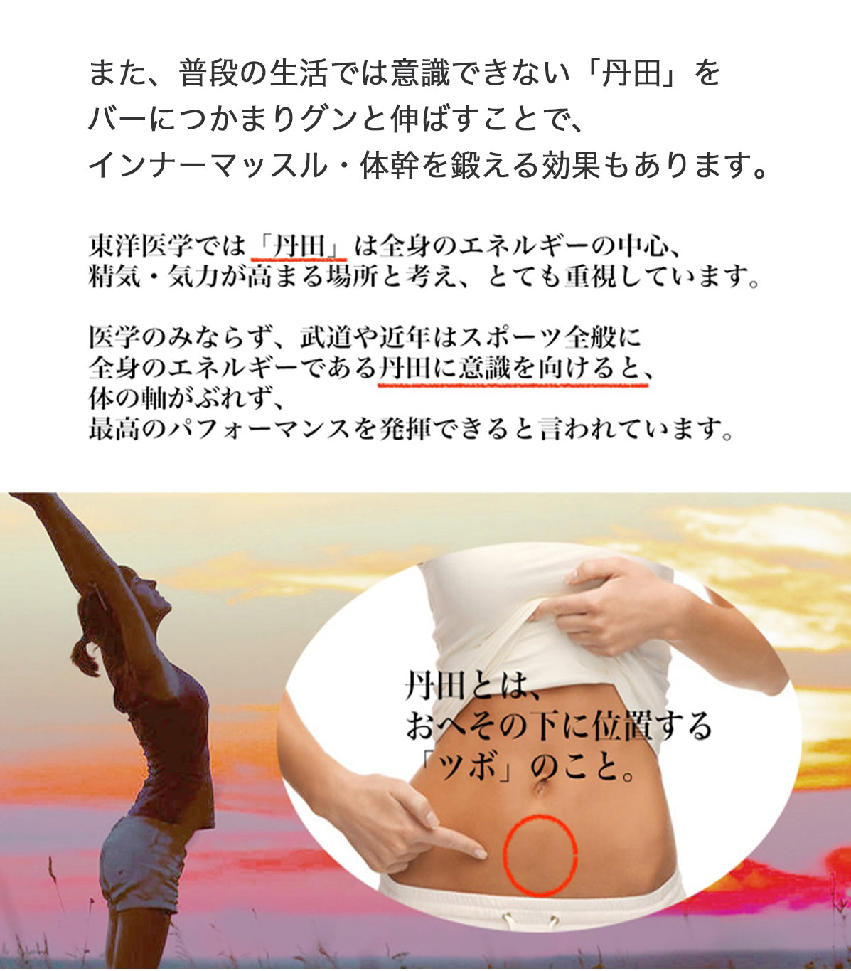 plantobiz-ぶら下がりストレッチバー ドアジム ぶら下がり健康棒